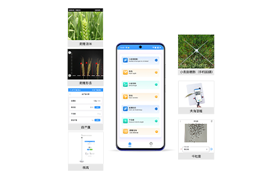 崇左市小麦表型检测仪IN-XM04